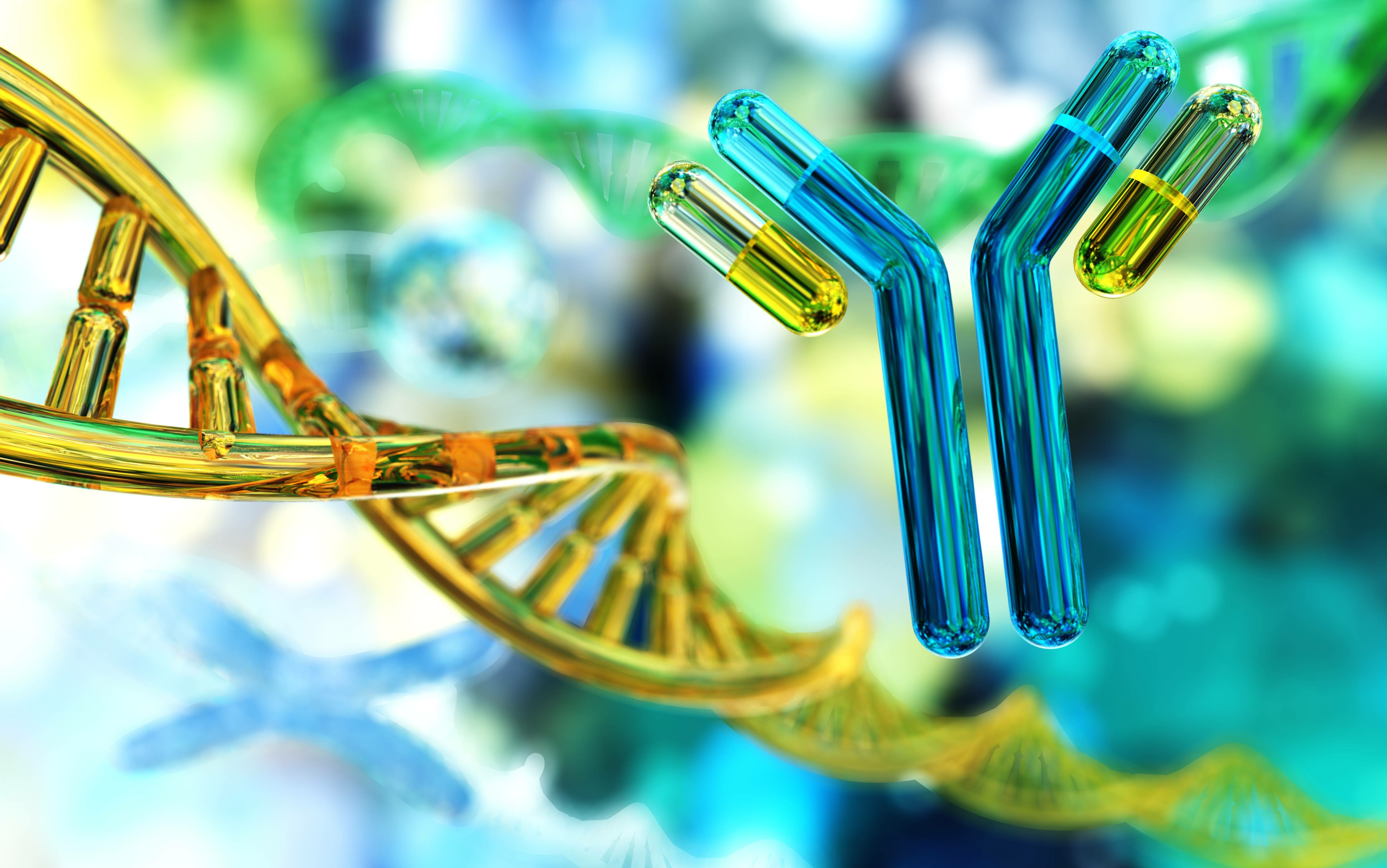 抗体とDNAの画像